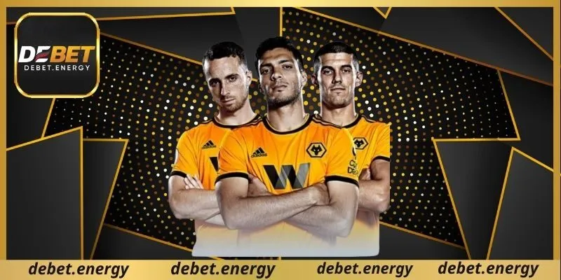 ข้อมูลเกี่ยวกับสโมสร Wolves